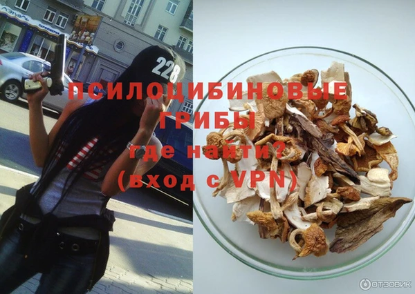 ГАЛЛЮЦИНОГЕННЫЕ ГРИБЫ Алексеевка