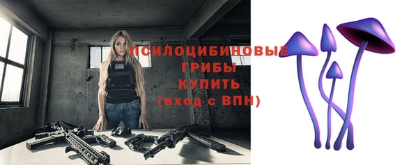 хмурый Алексин