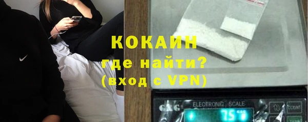 хмурый Алексин