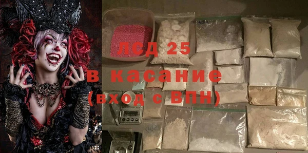 стафф Алзамай