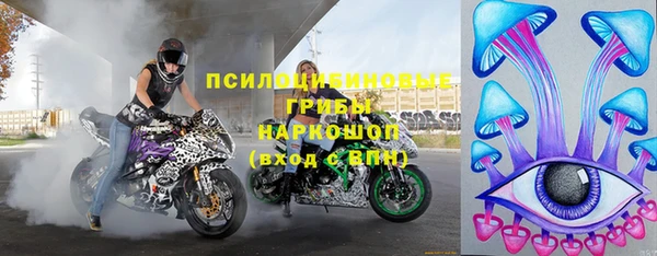 хмурый Алексин