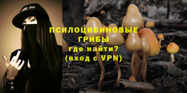 ГАЛЛЮЦИНОГЕННЫЕ ГРИБЫ Алексеевка