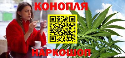 mdpv Бердск