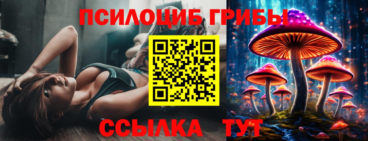 Галлюциногенные грибы Psilocybine cubensis  Галлюциногенные грибы Psilocybine cubensis  Вход с VPN  Всеволожск 
