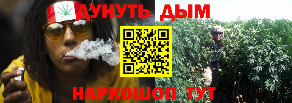 Бошки Шишки марихуана  Вход с VPN  МАРИХУАНА THC 21%  Всеволожск  Конопля AK-47 
